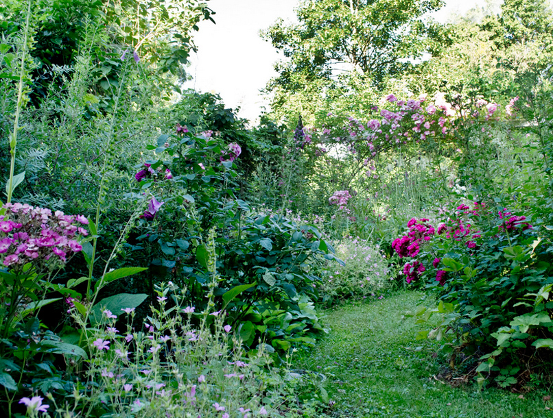 Elke Pilmaier Gartengestaltung Gartenkurse